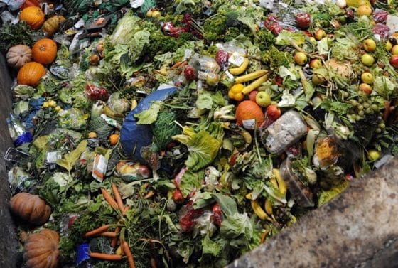 France rallies against food waste