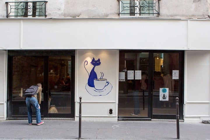 Le Café des Chats in Paris