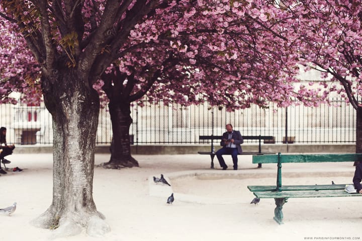 Paris in the Spring, HiP Paris Blog, Photo by Carin Olsson