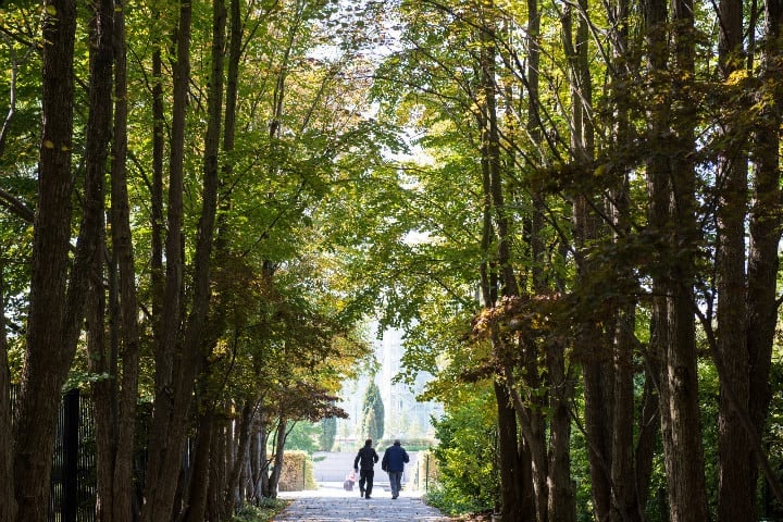 The Parisian’s Paris: Discovering the 15ème Arrondissement