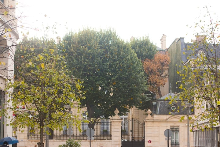 The trees in the courtyard of lavish mansions of Paris' business district in the 8th neighborhood.