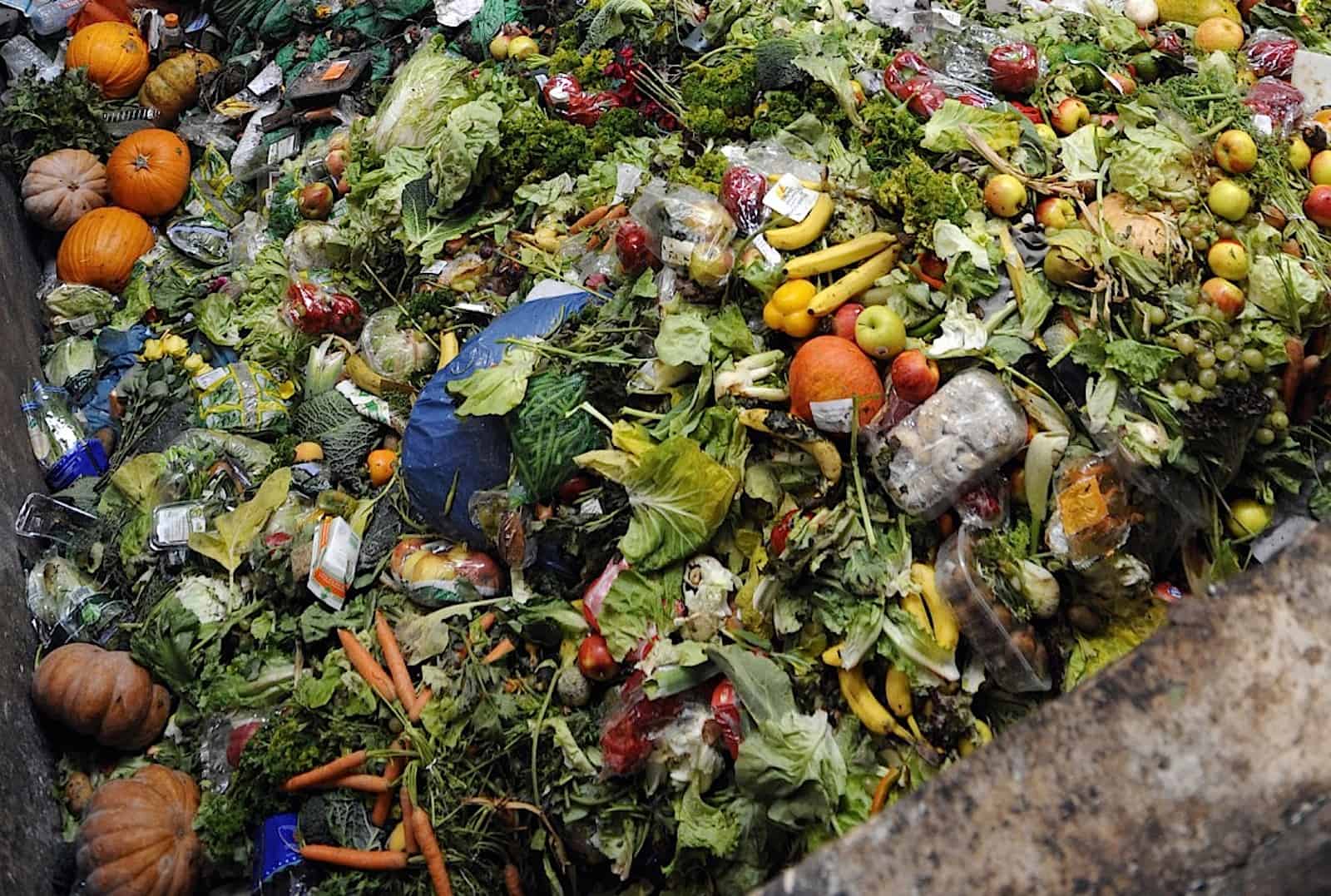 Anti-Gaspillage: France Rallies Against Food Waste