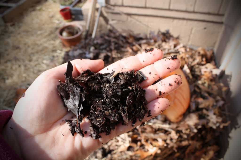 Composting in Paris: Neighborhood Gardens & Community Efforts - HiP ...