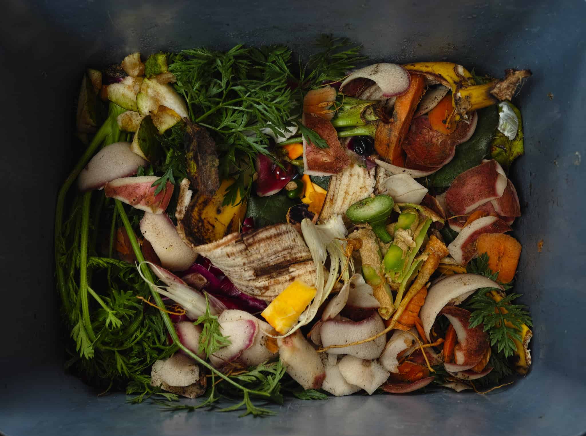 Composting in Paris: Neighborhood Gardens & Community Efforts