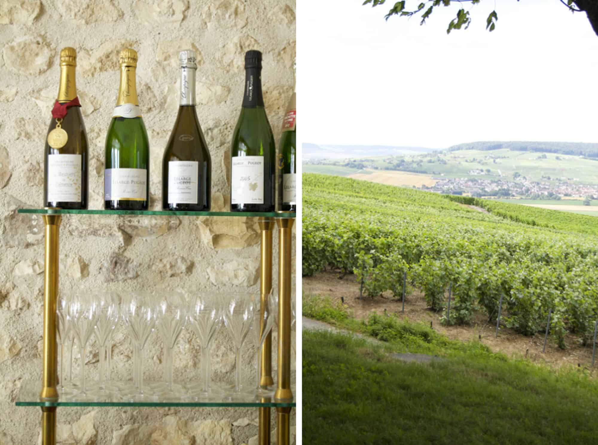 Champagne, Tasty Side to Life Tours