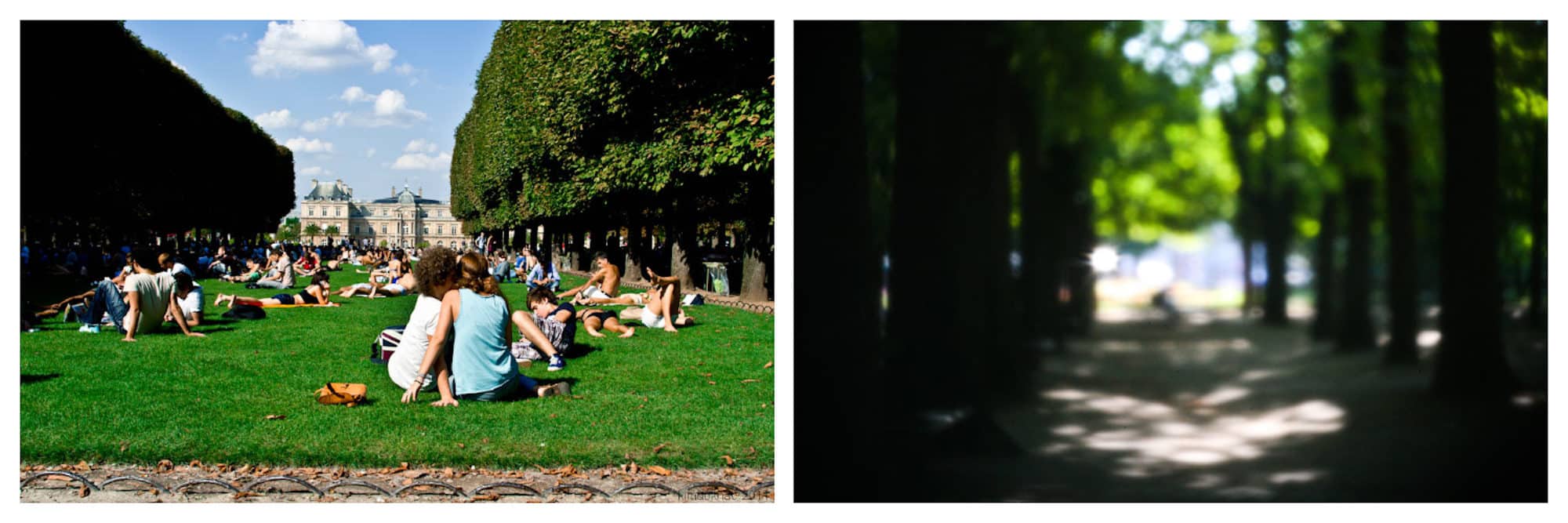 One of the best places to tan in Paris in summer is the Jardin de Luxembourg for its stretch of lawns (left) and tucked-away corners in the shade of swaying trees (right).