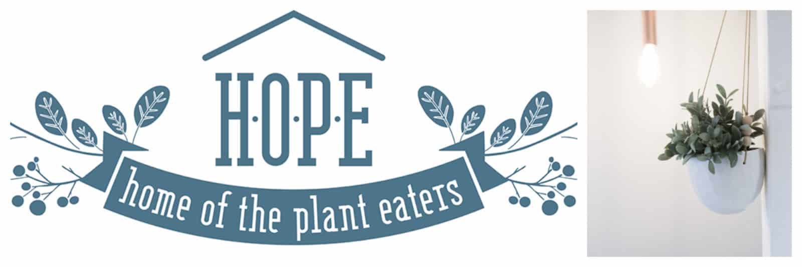 One of our go-to spots for vegan and veggie burgers in Paris is HOPE restaurant tucked in the Marais neighbourhood.