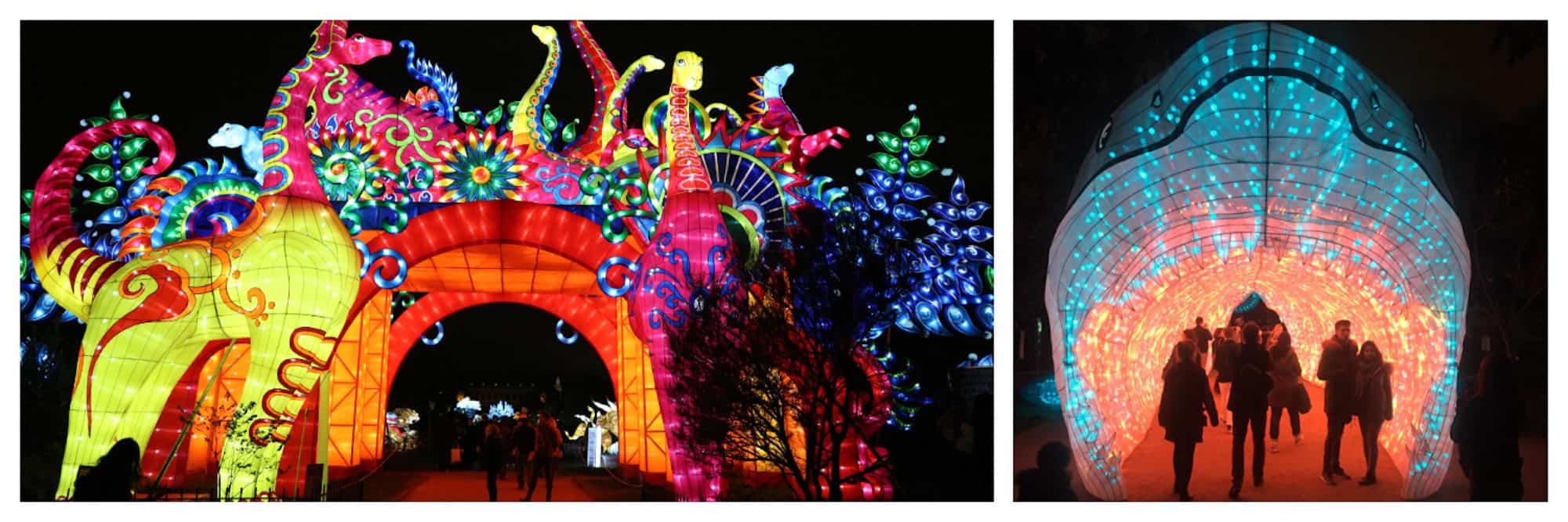 This Christmas in Paris, the Jardin des Plantes (garden of plants) put on an incredible show of colorfully-lit animal figures.