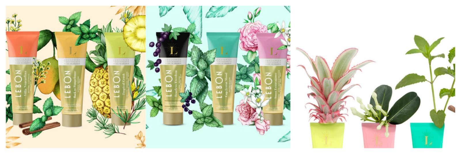 Le Bon French toothpaste made from plants is free from triclosan, a potentially toxic ingredient, available to buy at French beauty brand store in Paris, Oh My Cream!