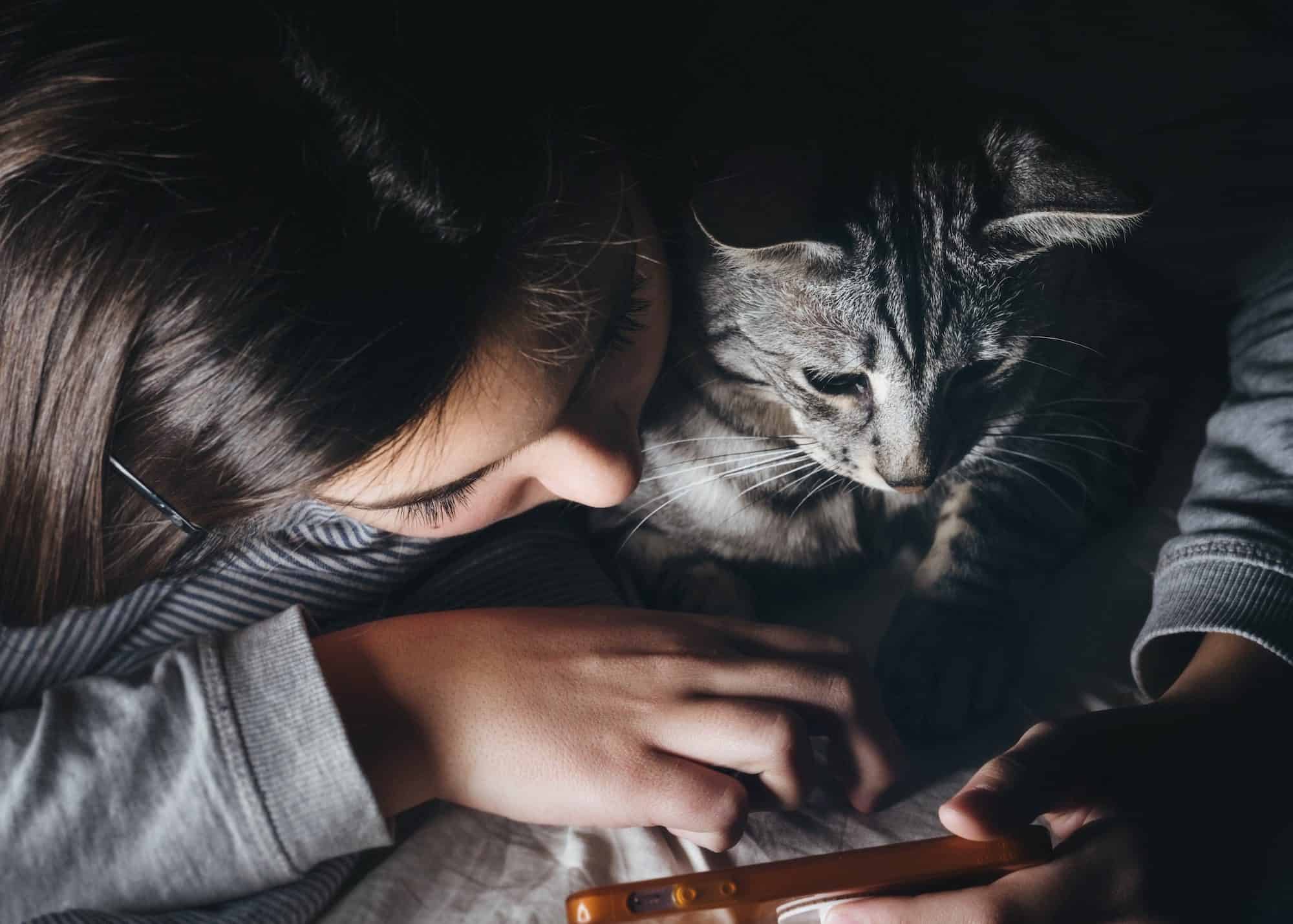 A little girl and a grey striped cat watching a movie on a cell phone together. 