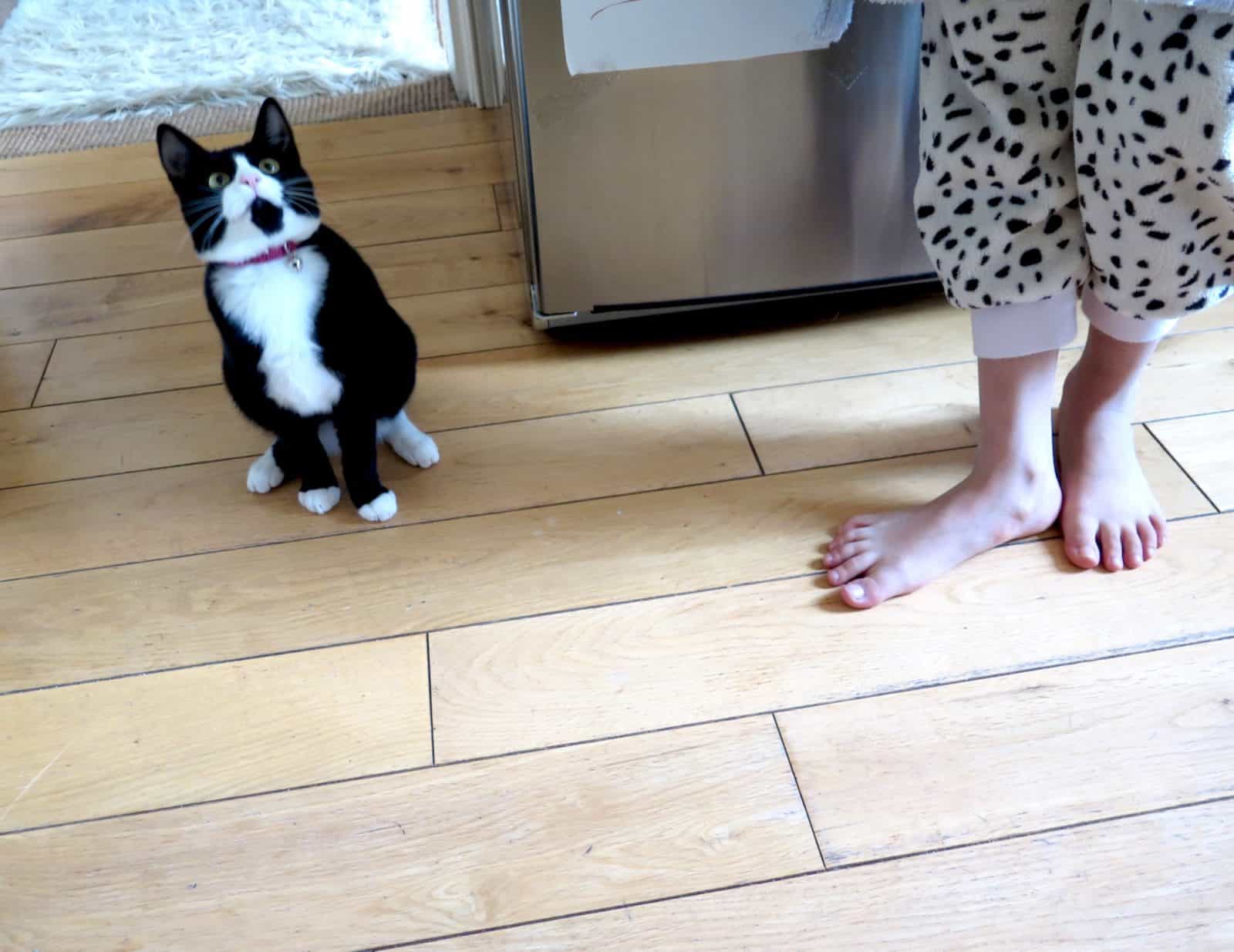 A black and white cat sitting on a kitchen floor looking upwards, next to a child's bare feet.