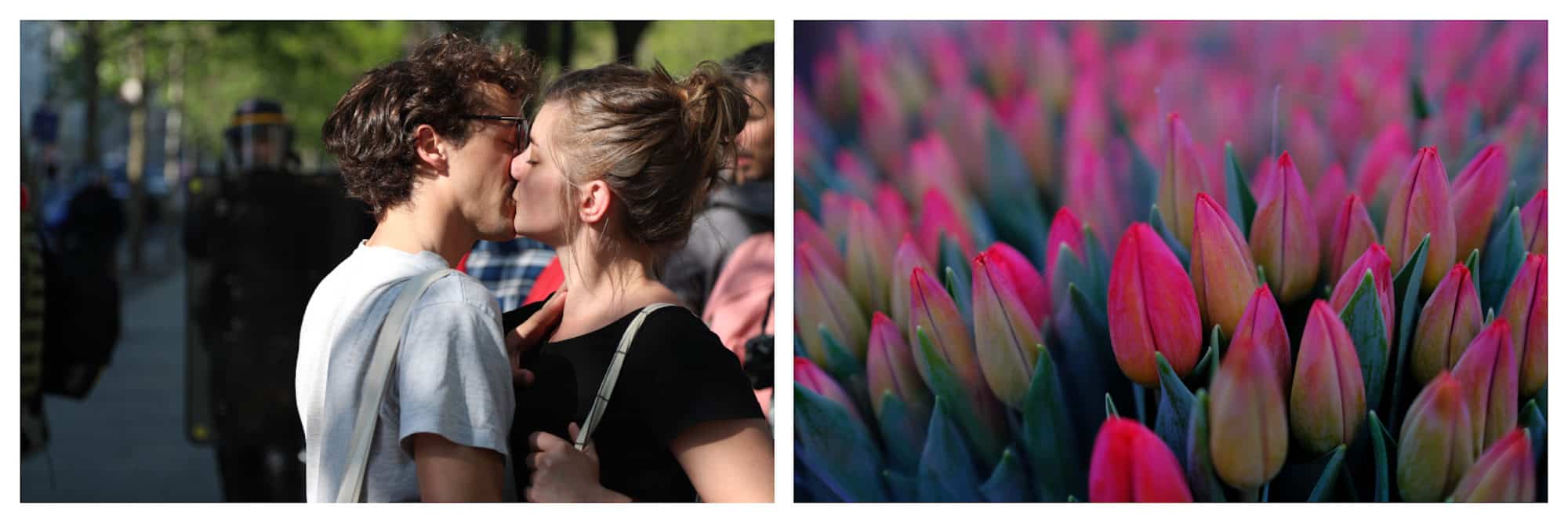 A couple in love kissing on the streets of Paris (left) and beautiful pink tulips on a flower stand in Paris on Valentine's Day (right).