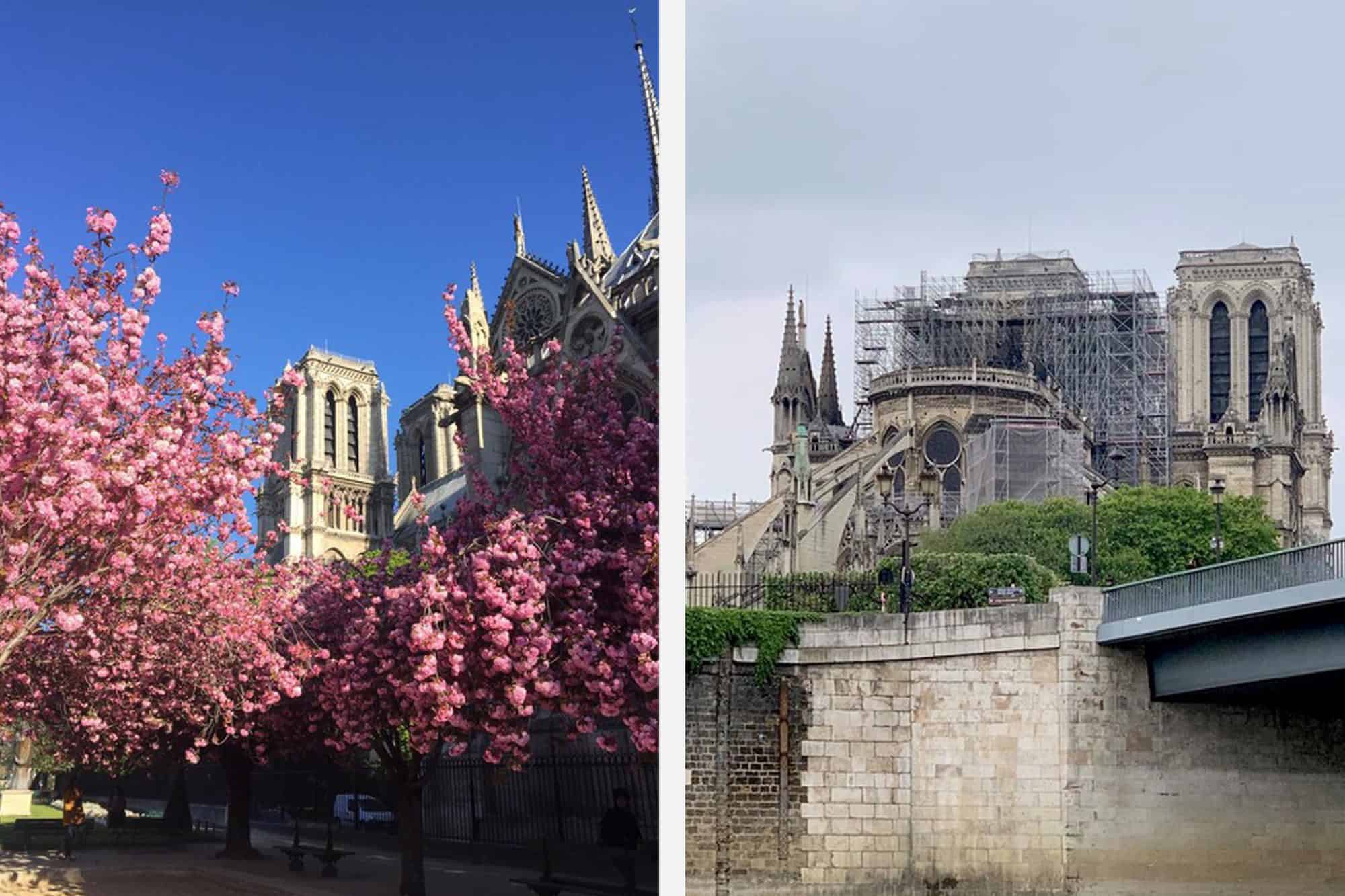 Notre Dame Cathedral in Paris, surrounded by flowering pink cherry blossom before the fire (left). Notre Dame after the terrible fire in Paris in April 2019 (right).