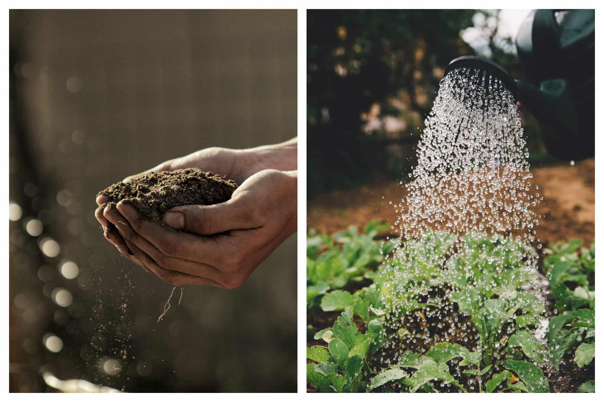 Permaculture in France is about respecting the cycles of nature and growing different seeds according to set principles.