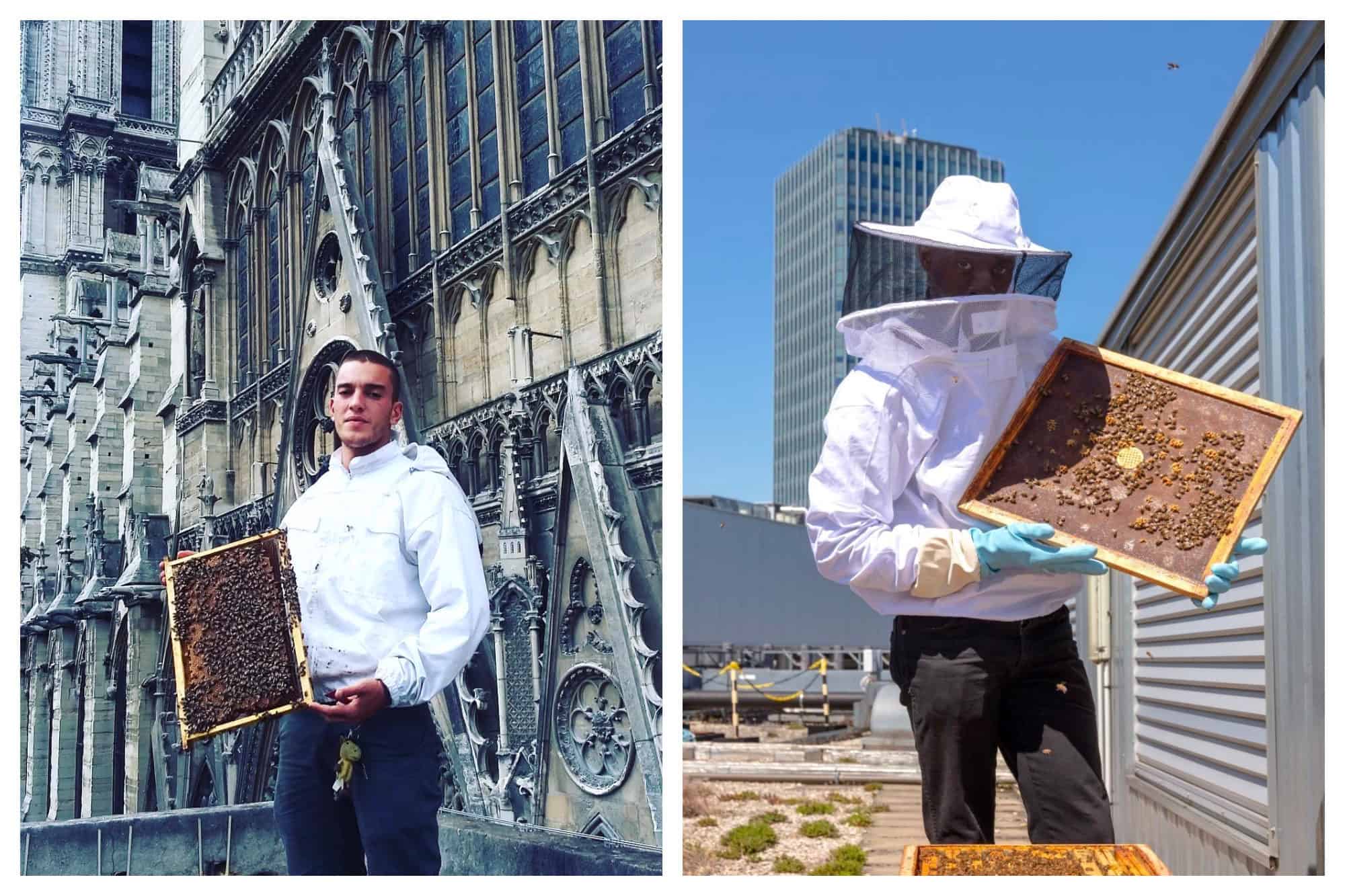 Beekeeper holding up a panel from his beehive (left and right).
