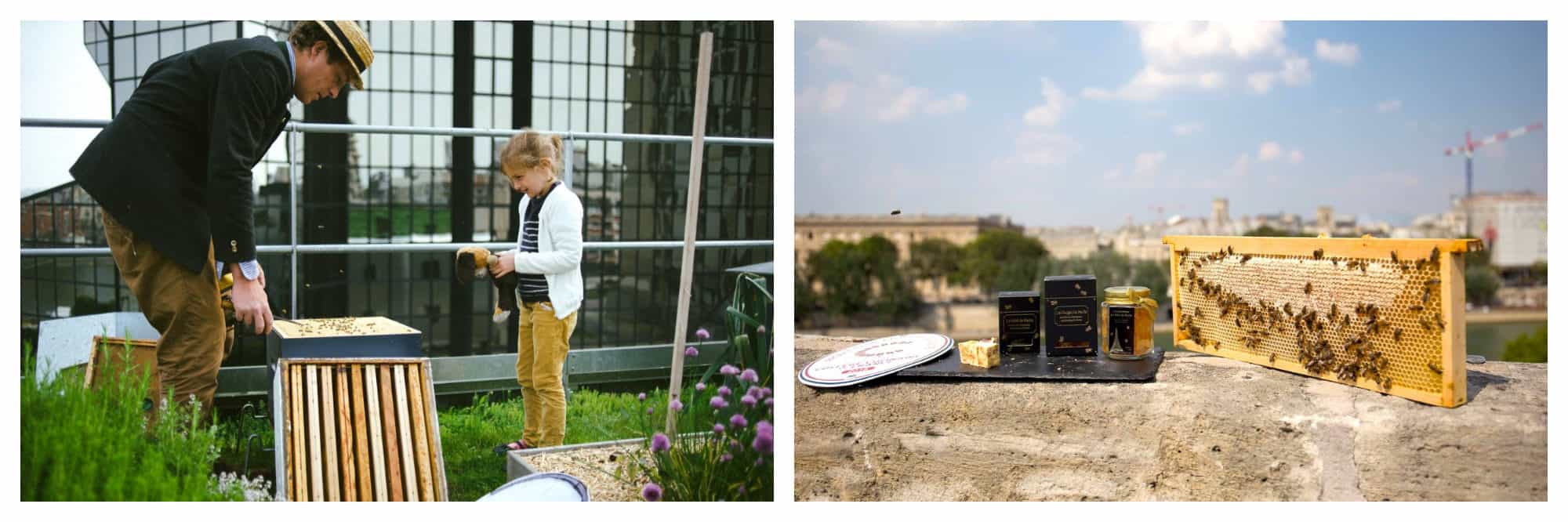 A beekeeper dressed in full attire as though he were going to a high society summer cocktail is showing the beehives to a little boy (left). A beehive on a rooftop (right).