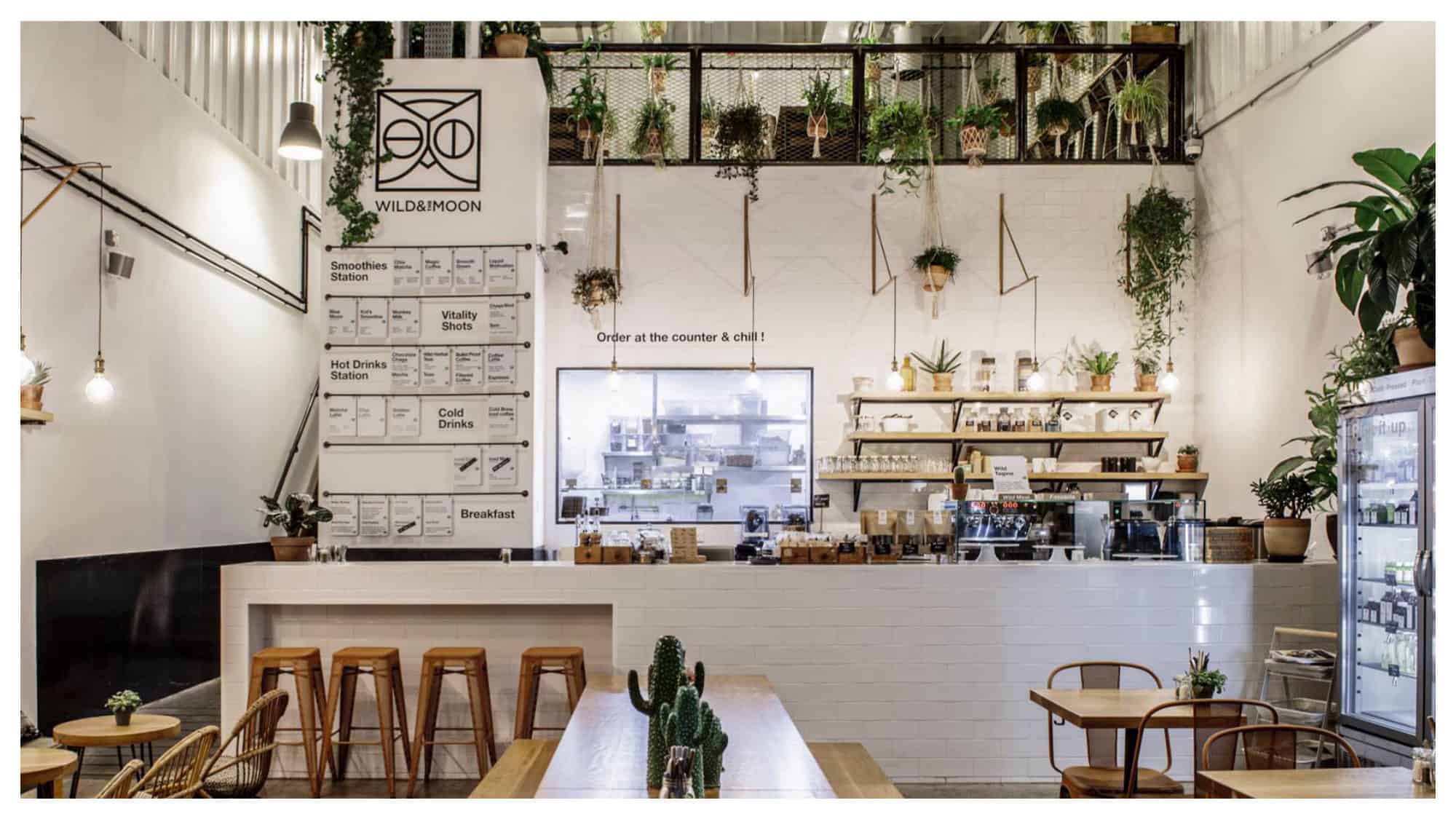 The industrial style white interiors dotted with hanging plants at Wild and the Moon vegan and gluten-free café in Paris.