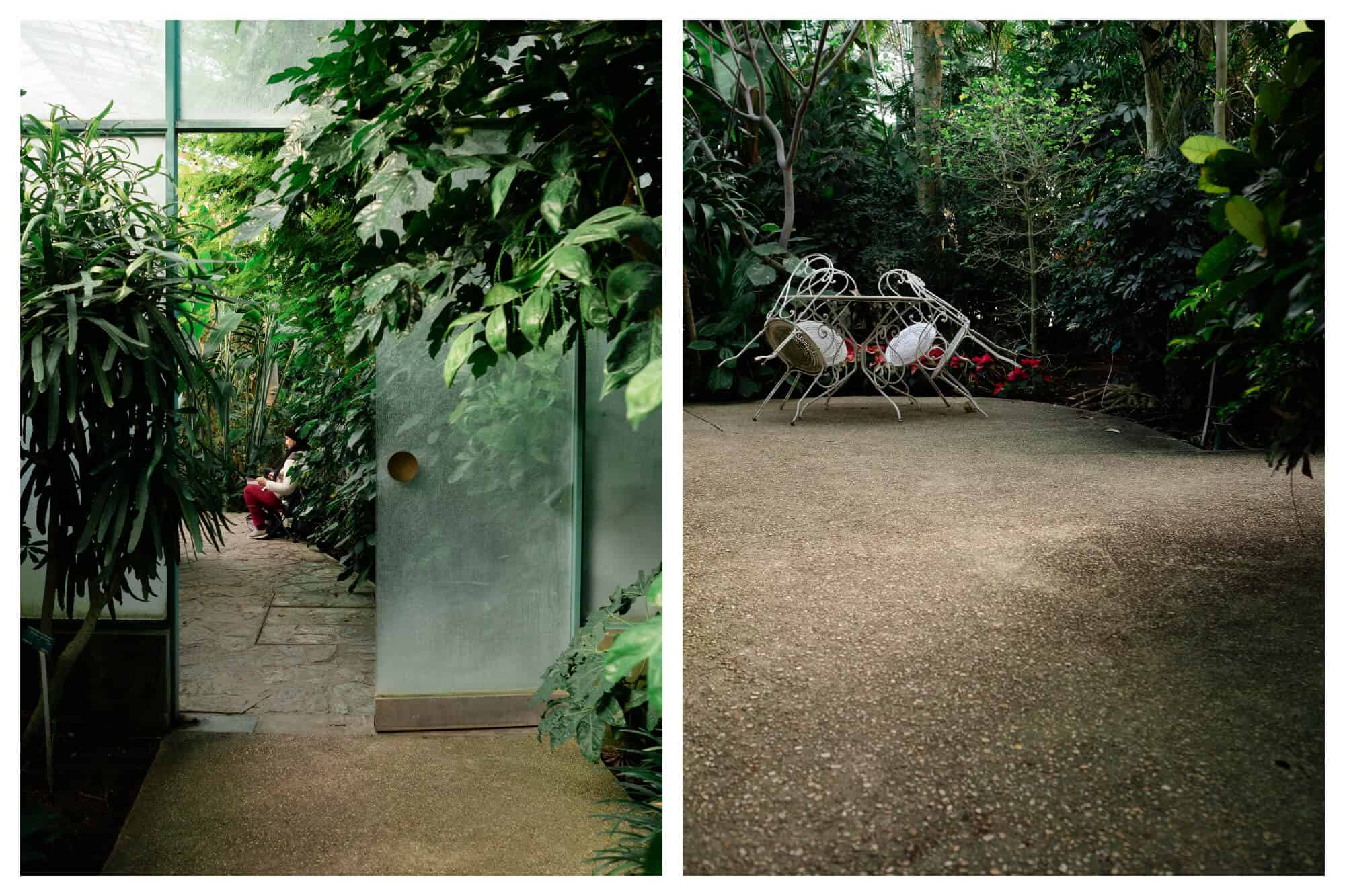 On left: An artist sits among the leaves of the Serres d'Auteuil, in Paris' 16th arrondissement, sketching. On right: Empty chairs are propped up on their table on the patio in the main greenhouse of the Serres d'Auteuil, waiting for a visitor to come sit with their snack. 