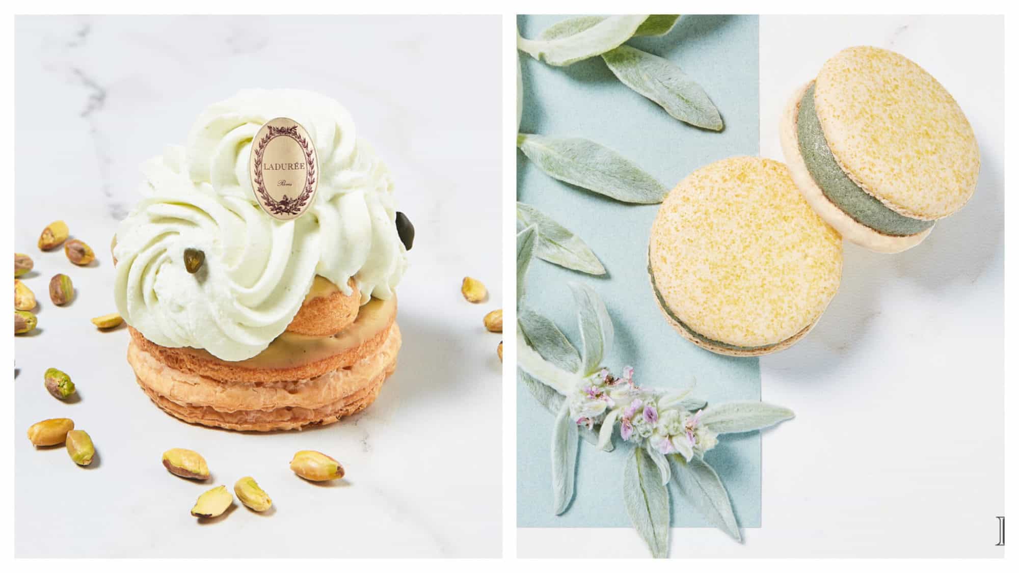 A pistachio pastry and green apple spirulina mint iced macarons from Ladurée