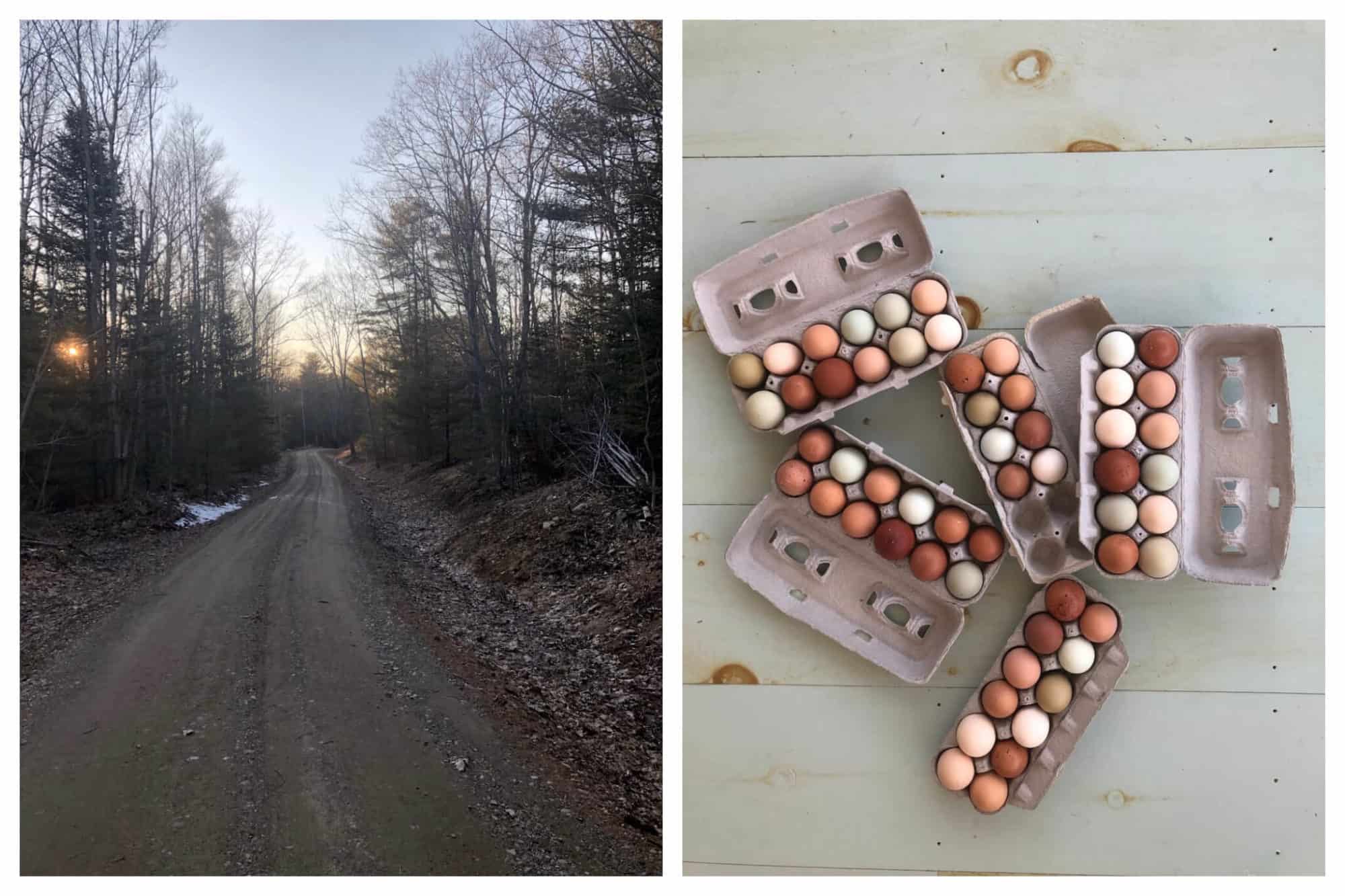 Left: A path in the woods near Erica's Maine farm.
Right: Dozens of multicolored, fresh eggs from Erica's chickens.