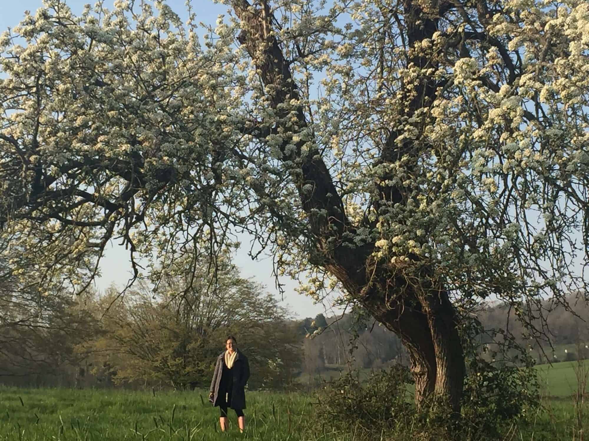 Marissa stands under a blossoming tree in the countryside of France. 