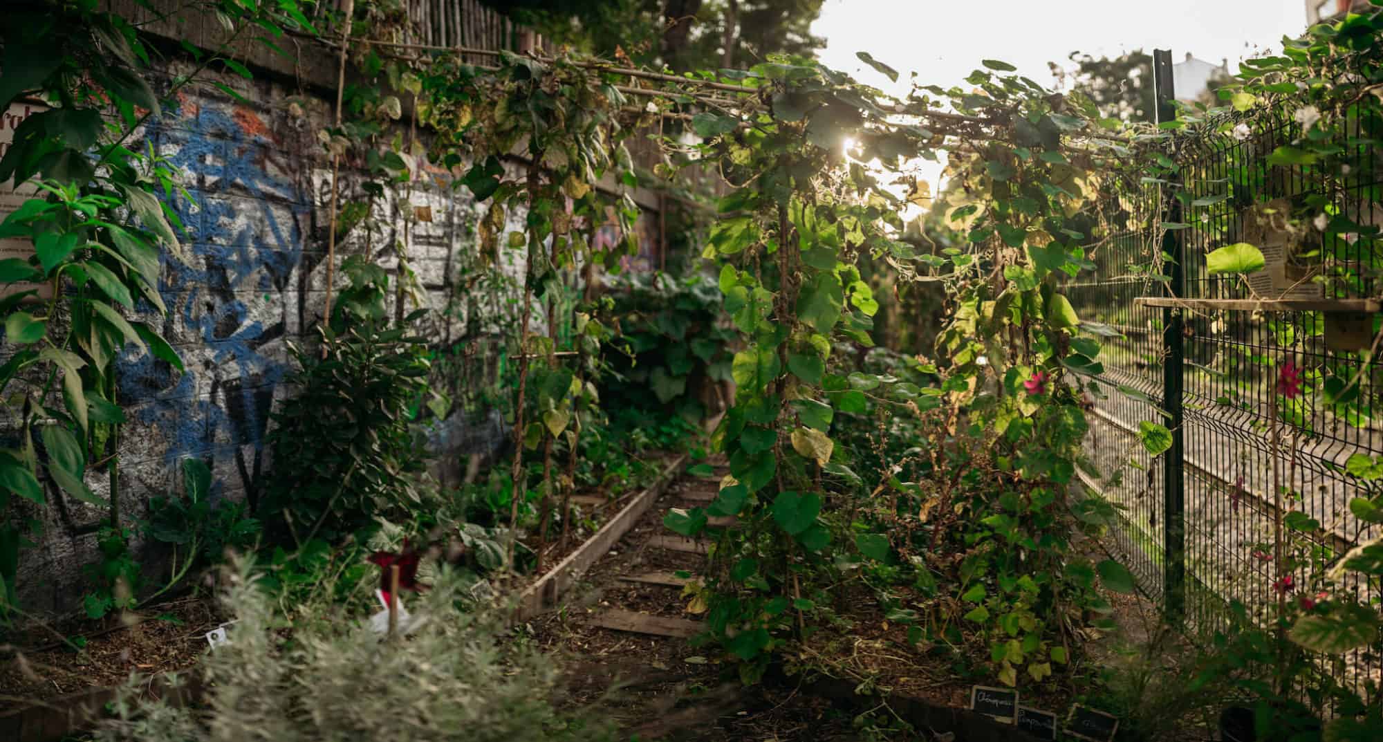 At La REcyclerie, a community space and restaurant in northern Paris, a garden grows along the old Petite Ceinture railway tracks. 