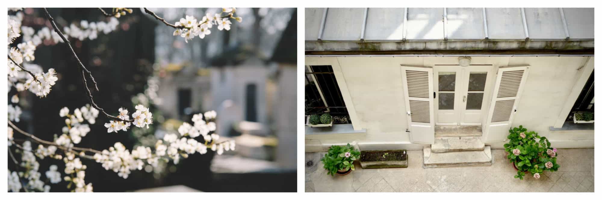 Left, flowers blooming all over Paris. Right, we're all staying indoors in Paris during the pandemic. 