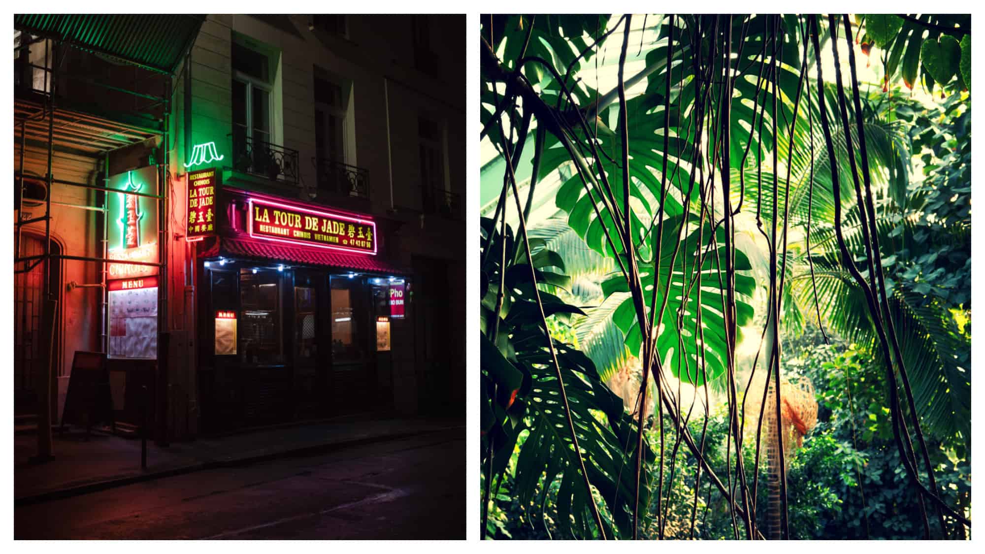 Left: Neon signs from the restaurant "La Tour de Jade" shine bright in the night in Paris' Chinatown, Right: Sun shines from above and illuminates the colors of the plants in the greenhouse of the Jardin de Plantes in Paris