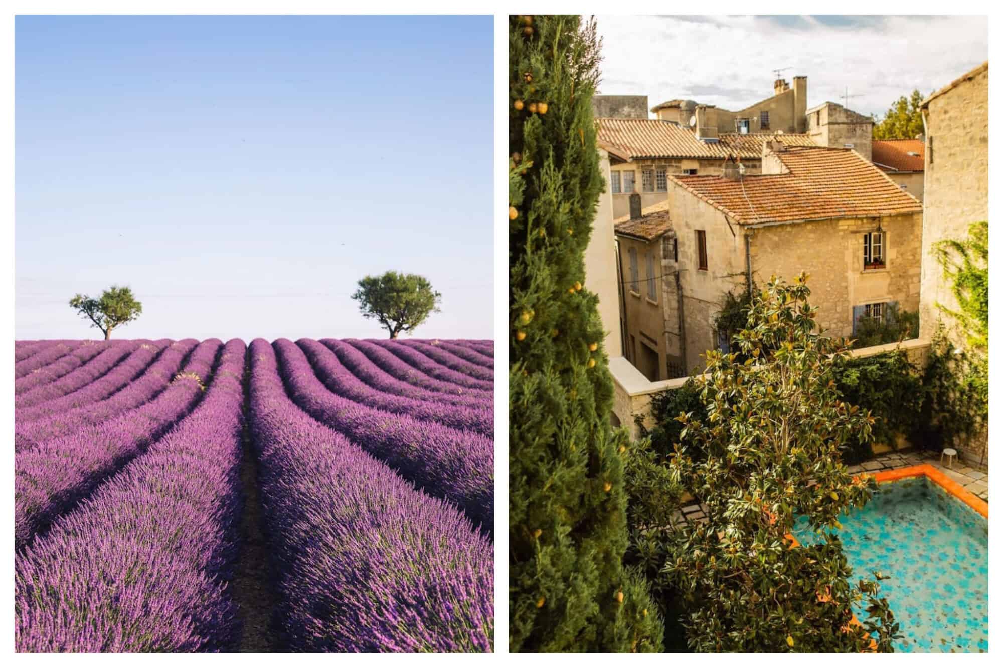 Left: A beautiful, open field of lavendar on a sunny day in Provence, Right: An overhead shot of an outdoor area, pool and Provencal rooftops from a room at the L'Arlatan 