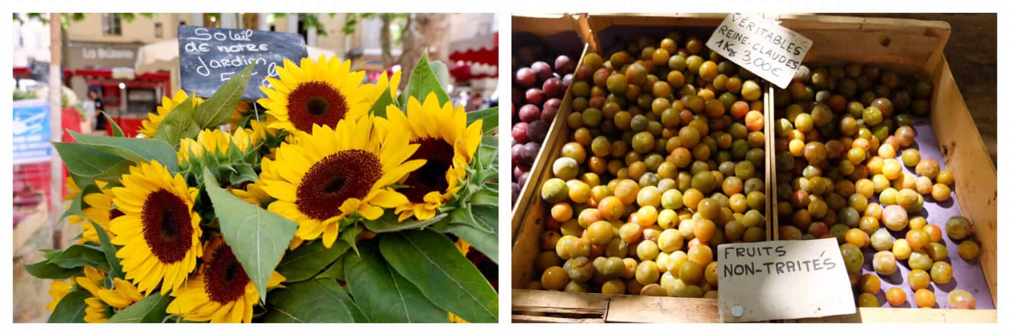 Left: sunflowers at a market in Provence. Right: reine-claude plums at a Provence market. 