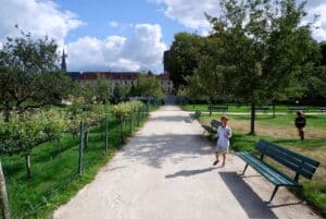 A paved road in the middle of greenery.