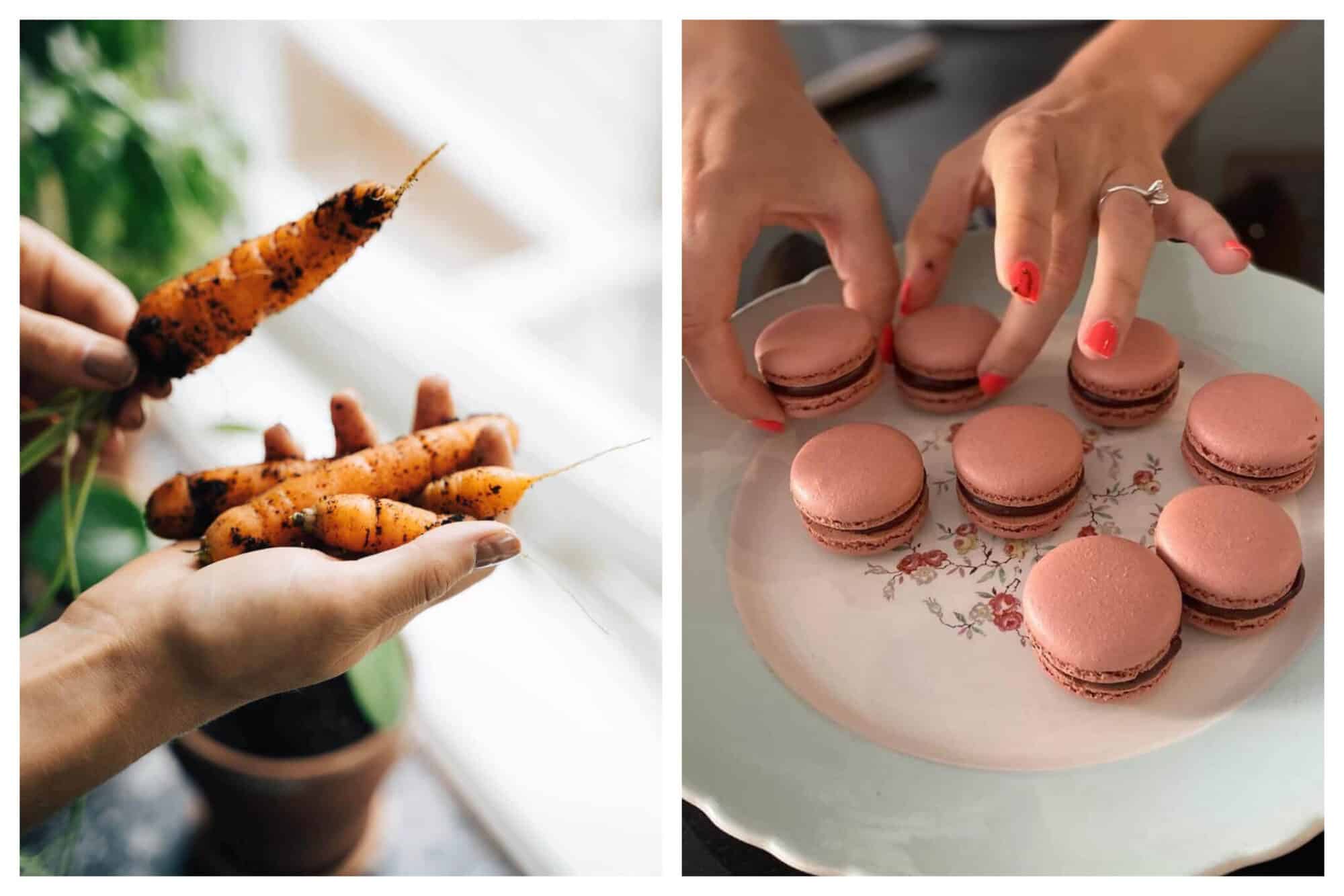 Left: A person holds four freshly harvested carrots, with dirt still visible on each of them, Right: A person delicately plates a batch of freshly baked macarons, which have pink cookies and a chocolate filling. 