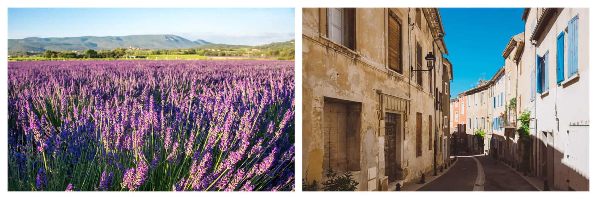 Left: a field of lavender with mountains in the background and clear pale blue skies. Left: a narrow winding street in a hidden hilltop village of Provence, with stone buildings on either side and colorful shutters. 