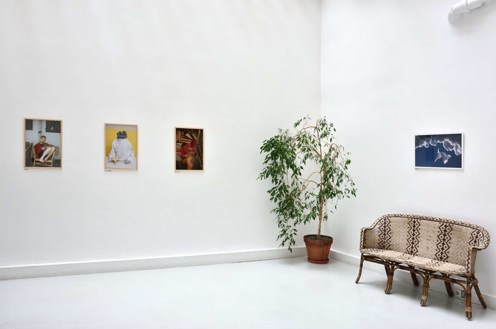 A white room with three small photographs in frames on the front wall. There is a potted plant in the right corner of the room. Next to the plant, there is a brown patterned bench against the wall with another framed photograph above it.