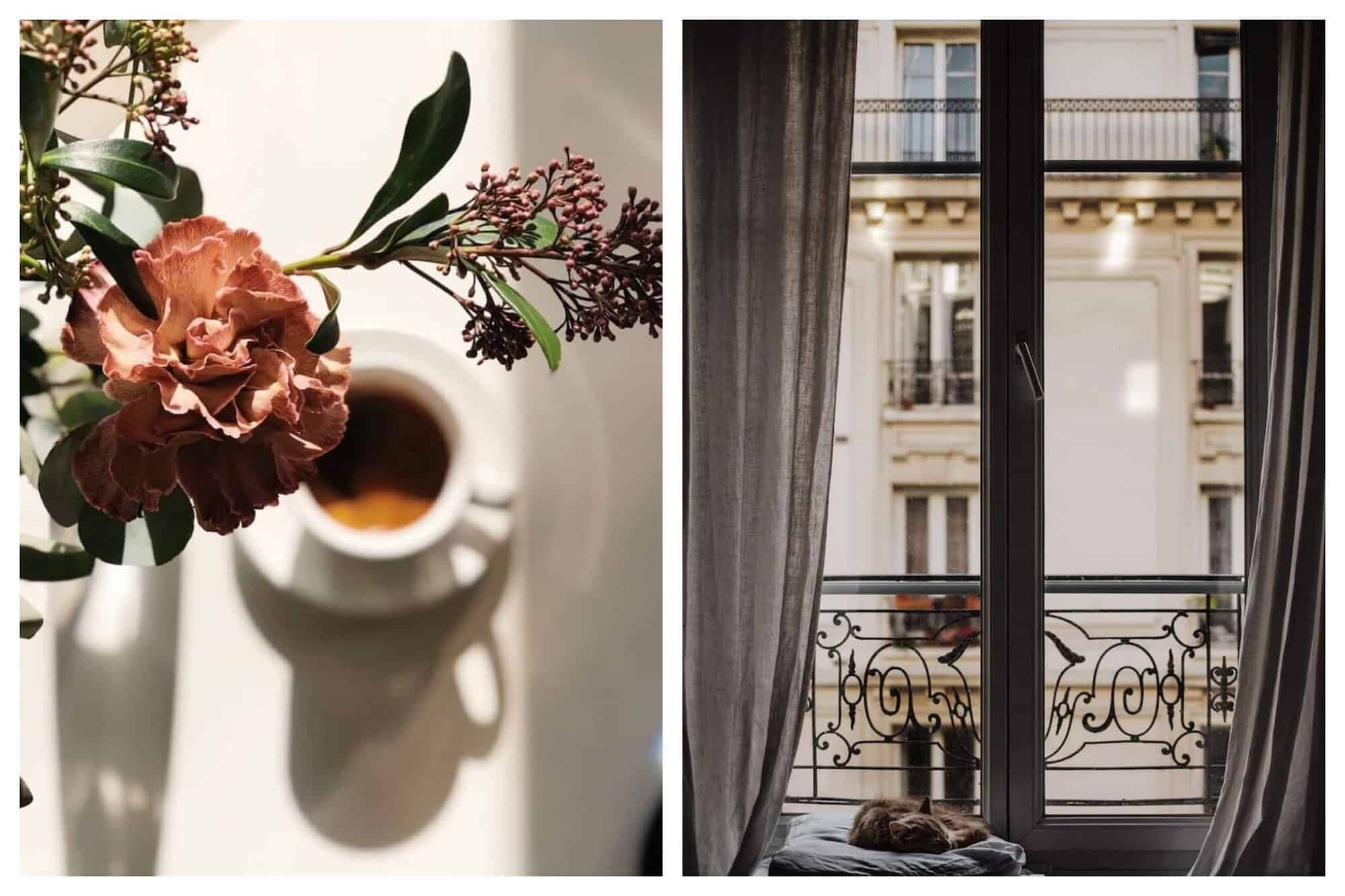 Left: an aerial view of a cup of coffee on a table. The coffee is blurry and out of focus and there are several pink flowers to the left of the frame. The largest is in focus. Right: a large window in a Parisian apartment. Other buildings are visible outside the window and to the left a cat is visible as it naps on a cushion