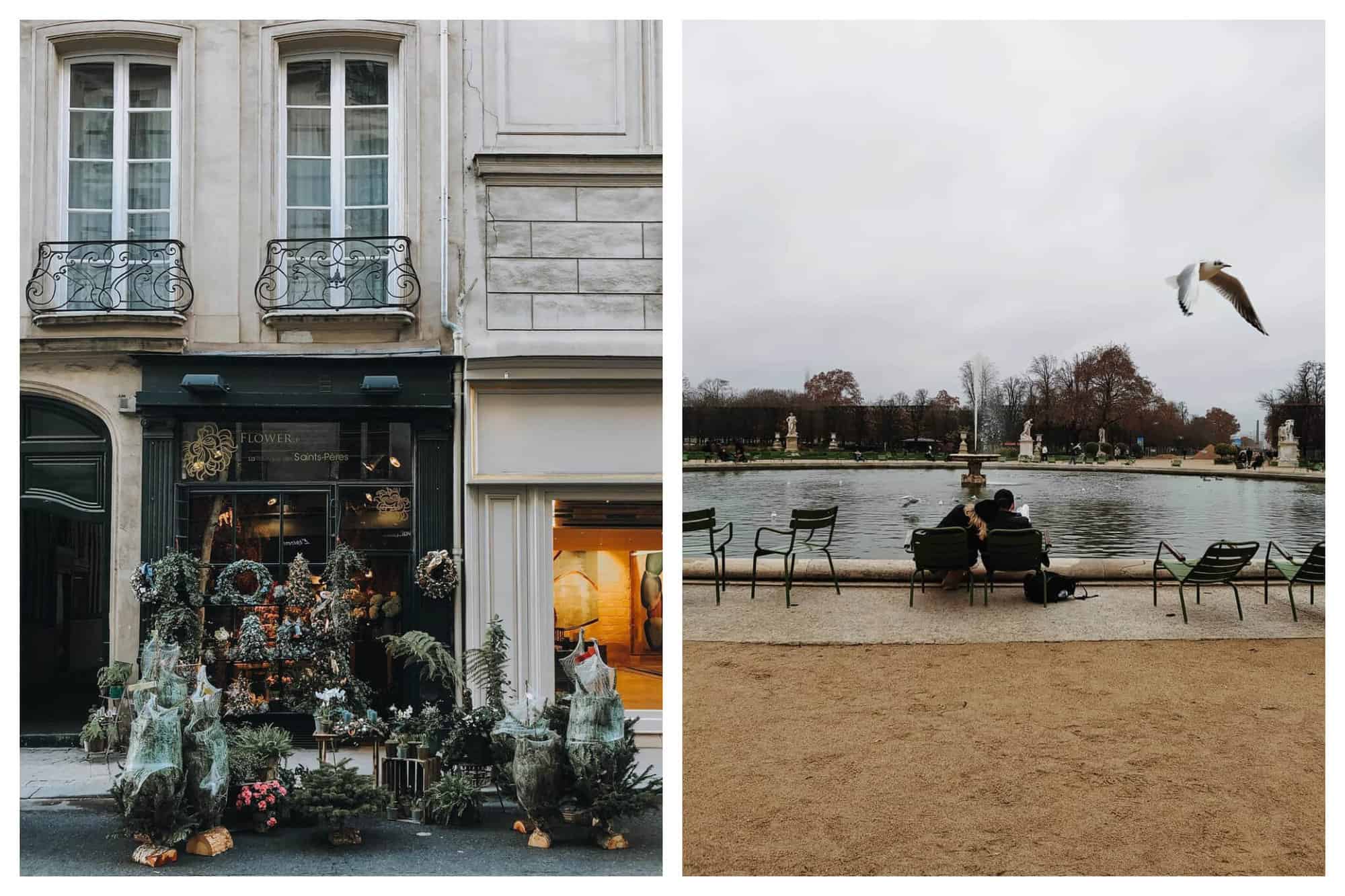 Left: a florist in Paris at Christmastime. There are Christmas trees, wreaths, and more greenery spilling out of the shop onto the sidewalk. The shop is painted black and the buildings surrounding it are gray. Right: a couple sitting in front of a fountain in the Tuileries Garden in Paris. The couple can be seen snuggling up to one another as they look at the fountain. A seagull can be seen flying out of the frame to the right.