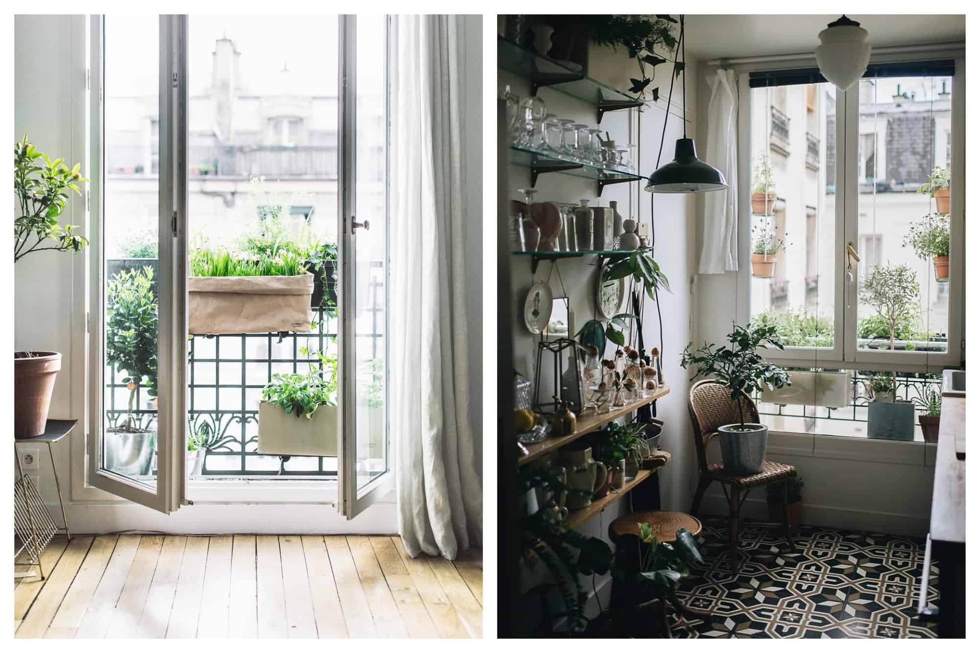 Left: A photo of a Parisian apartment located in the 11th arrondissement. Captured is a set of french windows with off-white curtains, opening to a small balcony with outdoor plants hanging by the fence. Right: A picture of the same apartment in the 11th arrondissement of Paris. In the shot is the kitchen filled with houseplants, particularly a set of avocado seeds being propagated using glasses with water. A ficus tree sits in a brown woven chair beside a window overlooking the court of the building. Hanging plants can also be seen along with outdoor plants through the window.