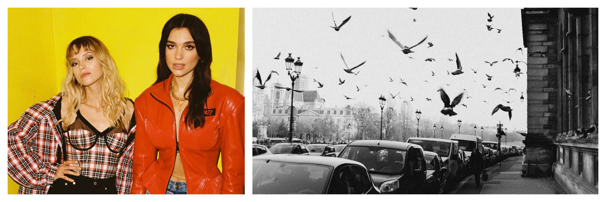 Left: Angele and Dua Lipa standing next to each other, in front of a yellow wall. Right: Birds flying on an empty street in Paris.