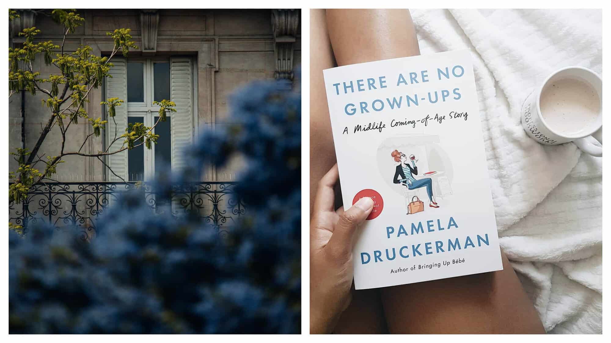 Left: A window and flowers outside of a traditional Parisian building. Right: There are no Grown-ups by Pamela Druckerman.