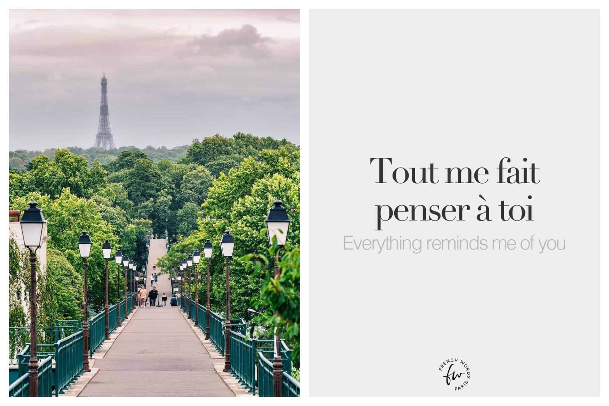 left: a picture of a bridge in Paris with green trees surrounding. The Eiffel Tower can be seen in the background on a cloudy day. Right: text of both french and english: tout me fait penser à toi. Everything reminds me of you.