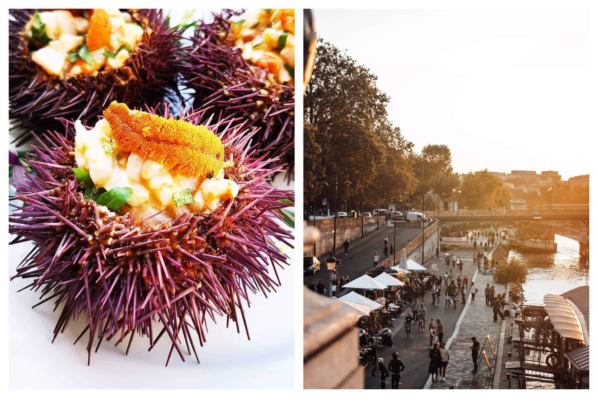 Left: a photo of the french dish oursin filled with vegetables and fish on a white plate. Right: a photo of the seine in Paris at sunset, where many people are walking along the river or dining on a terrace.