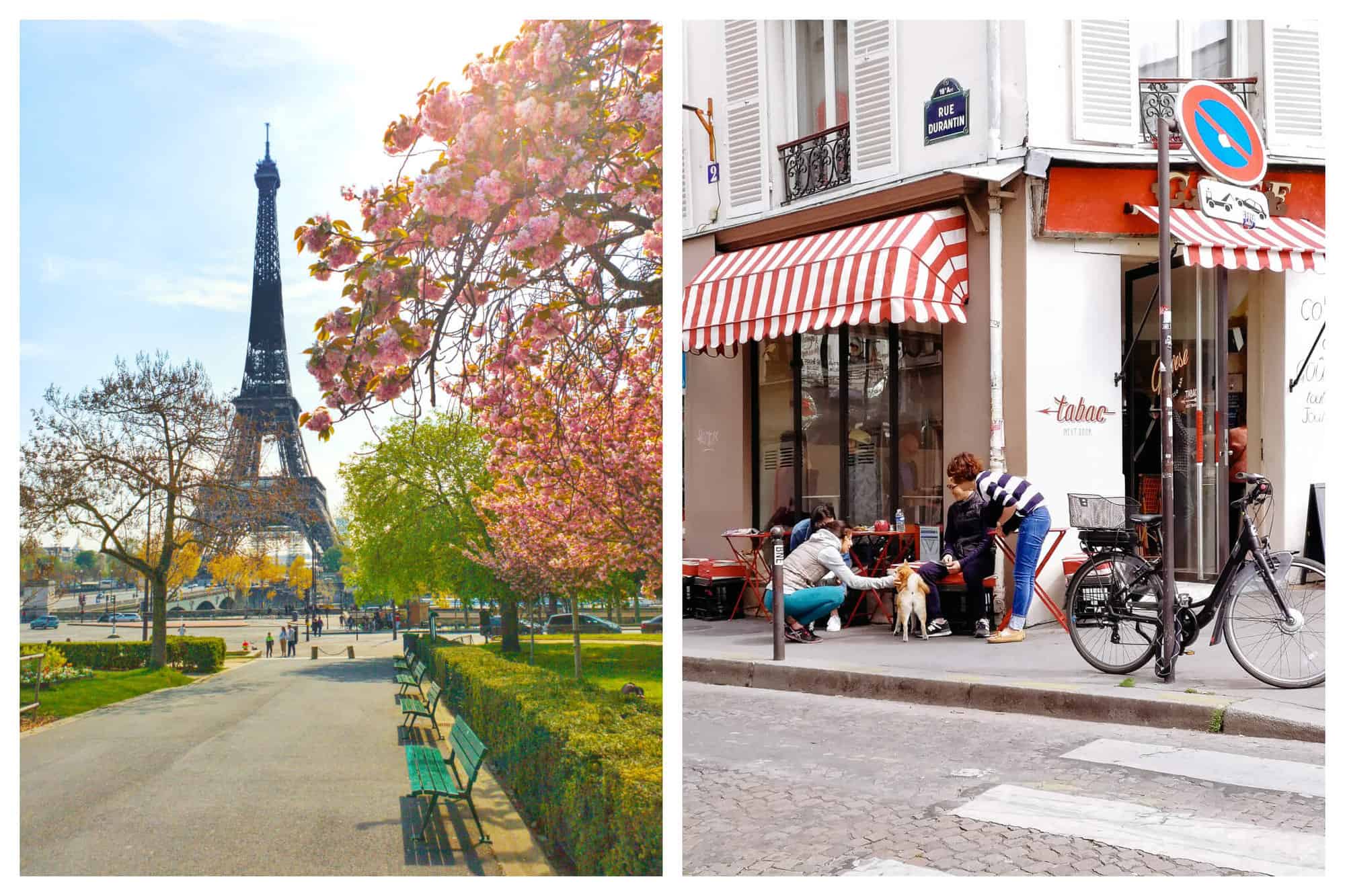 Left: a cherry blossom tree in full bloom at the Trocadero gardens with the Eiffel Tower in the background. Right: people petting a dog at a table outside the Cafe Tabac in Montmartre.