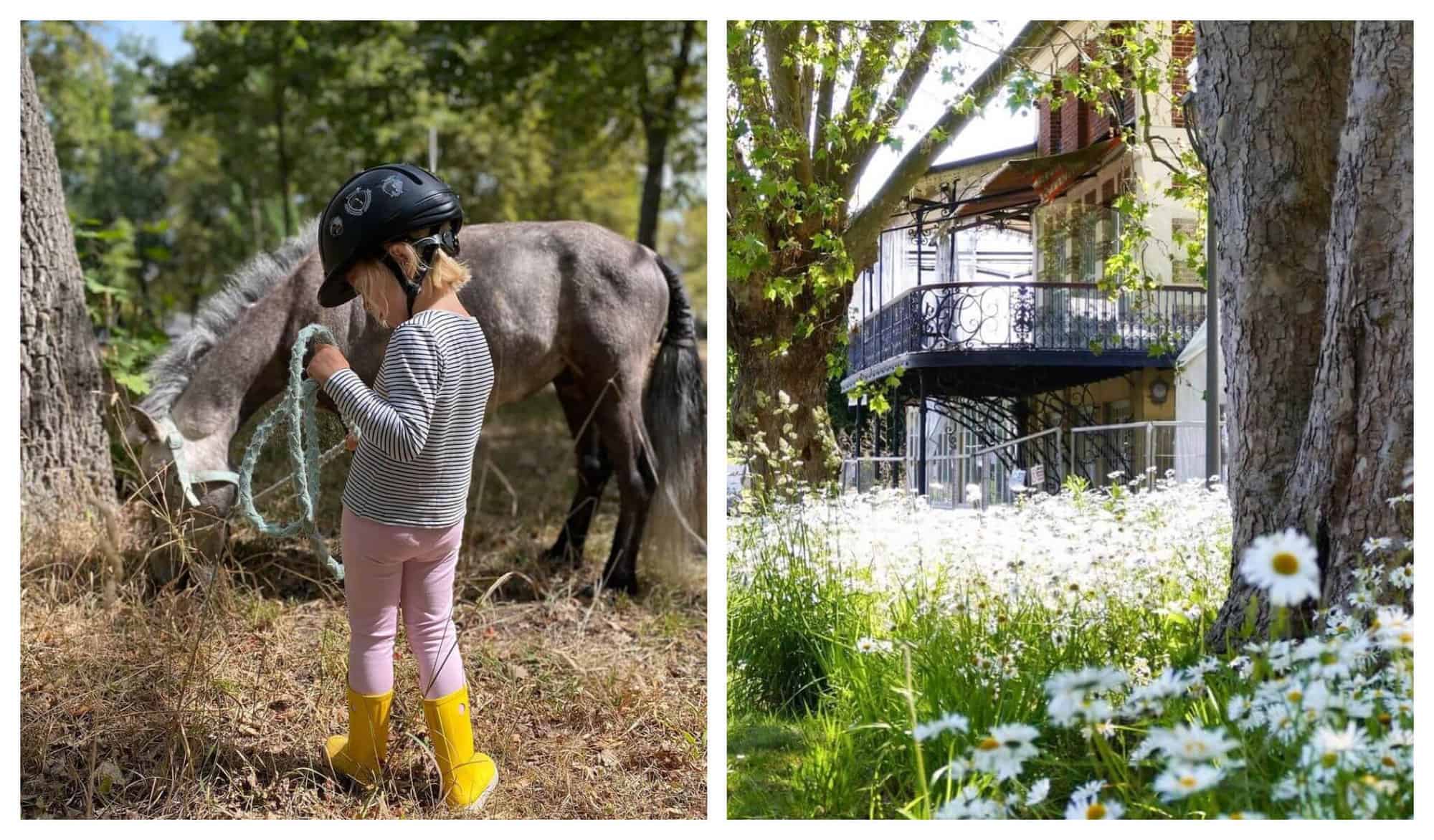 On the left is a young blonde girl in striped shirt, pink pants, and yellow boots holding a green rope of her brown poney. On the right is a house with a terrace seen from a garden full of white flowers and 2 tall trees.