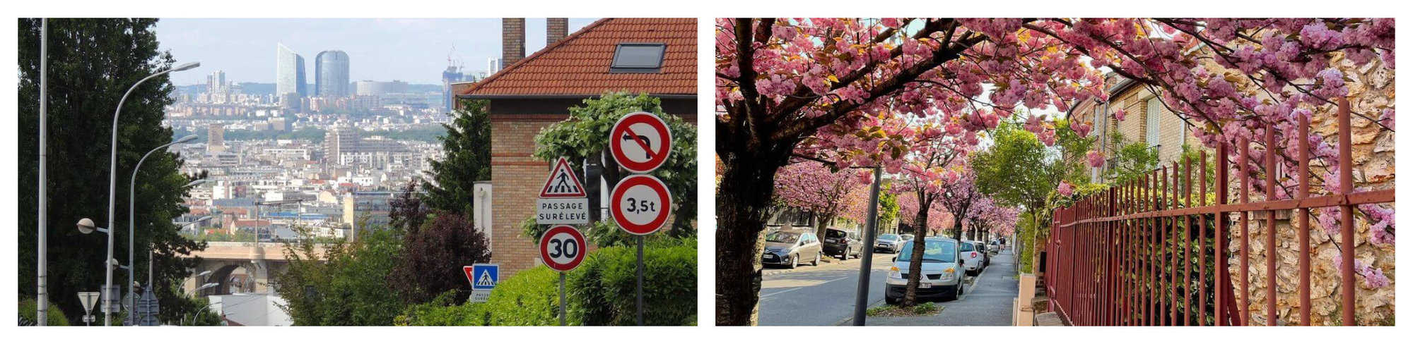 On the left is a suburban tree-lined street with views of gray and beige buildings. On the left is a suburban avenue lined with cars, cherry blossoms, and red house gates.