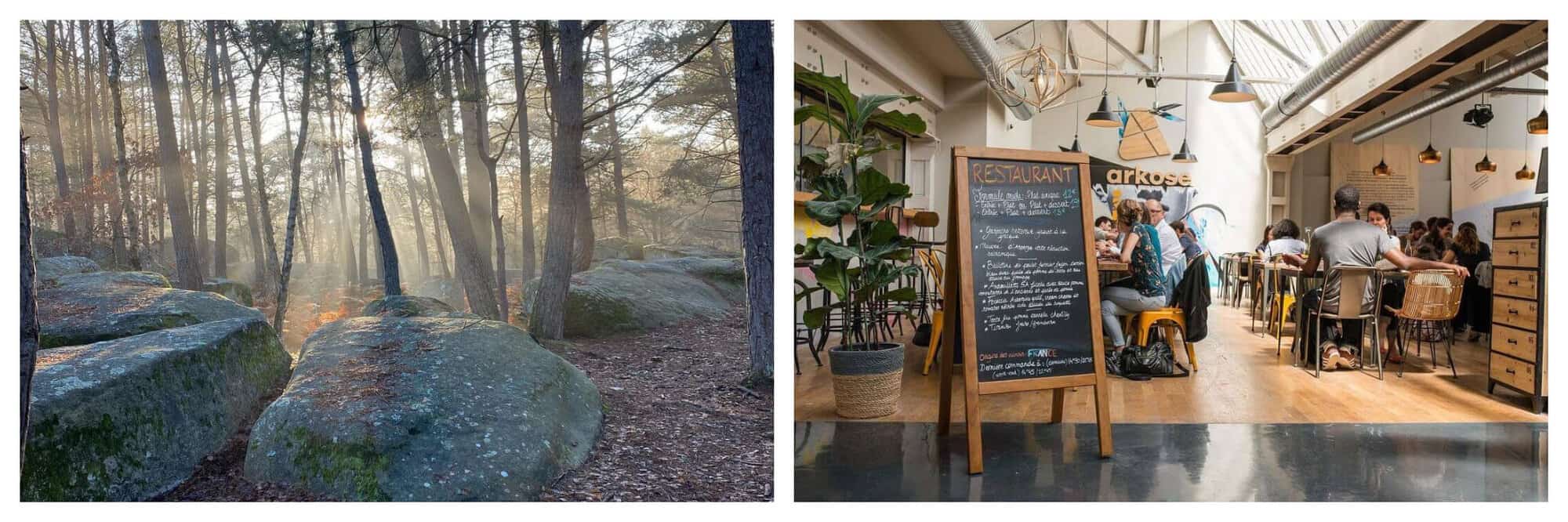 Morning light breaks through the trees in the Fontainebleau forest with some small boulders in the foreground. A busy cafeteria in Arkose Nation with a large billboard in the foreground. 