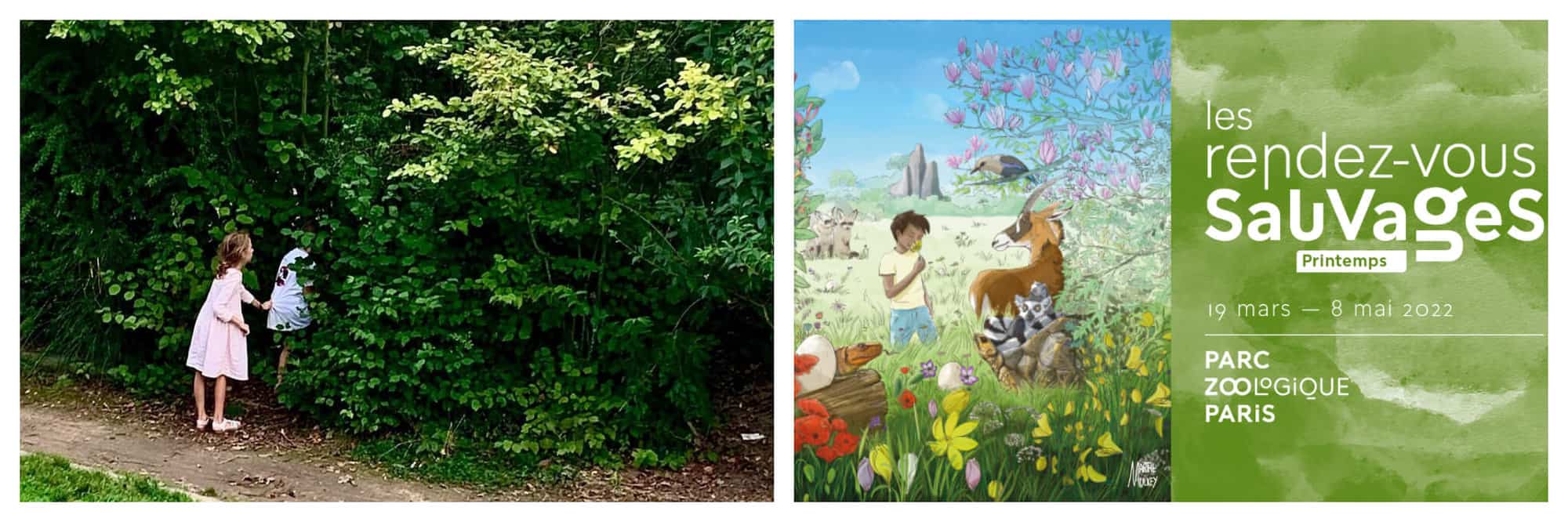 Left- 2 children peak through green bushes in a park. Right- A park with a boy and animals are shown in an ad for the Zoologique Paris.