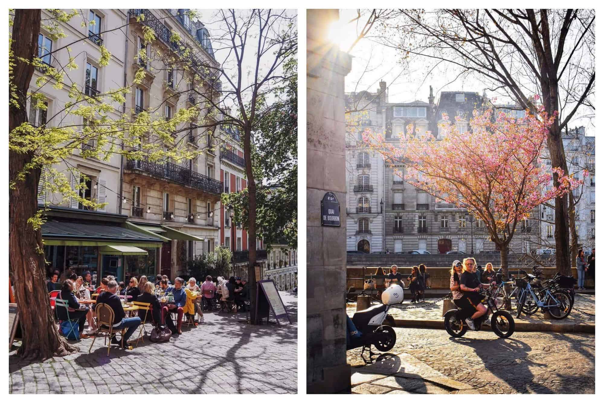 Right: Parisians are dining at an outdoor terrace between two green trees. Right: A couple are riding in a bicycle as they pass through a street with a pink cherry blossom tree.