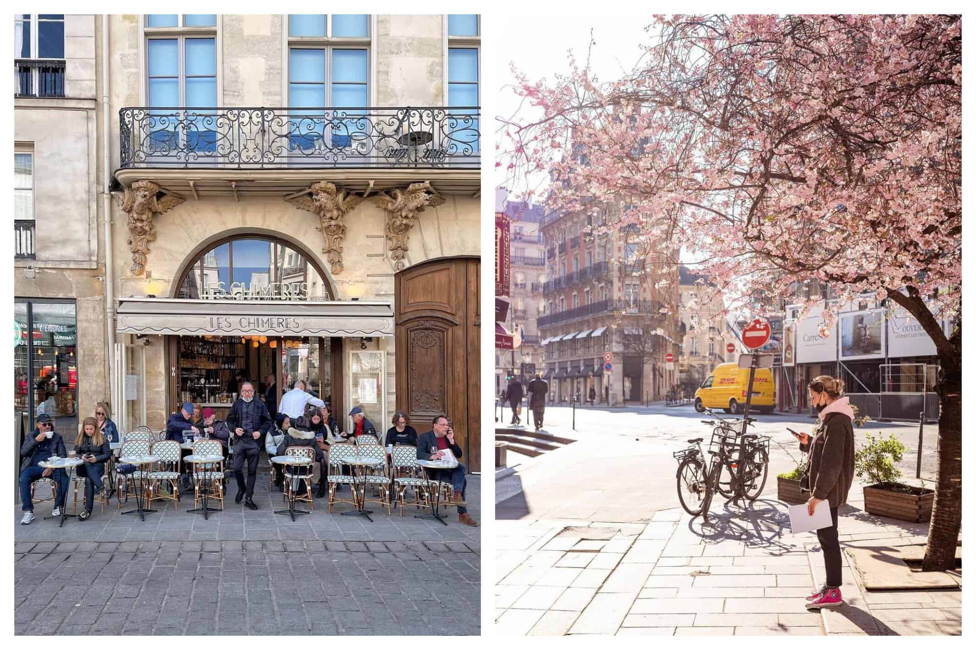 A gentleman leaves the cafe, Les Chimeres as fellow diners sit and drink their coffee. A young lady pauses beneath a cherry blossom in central Paris.