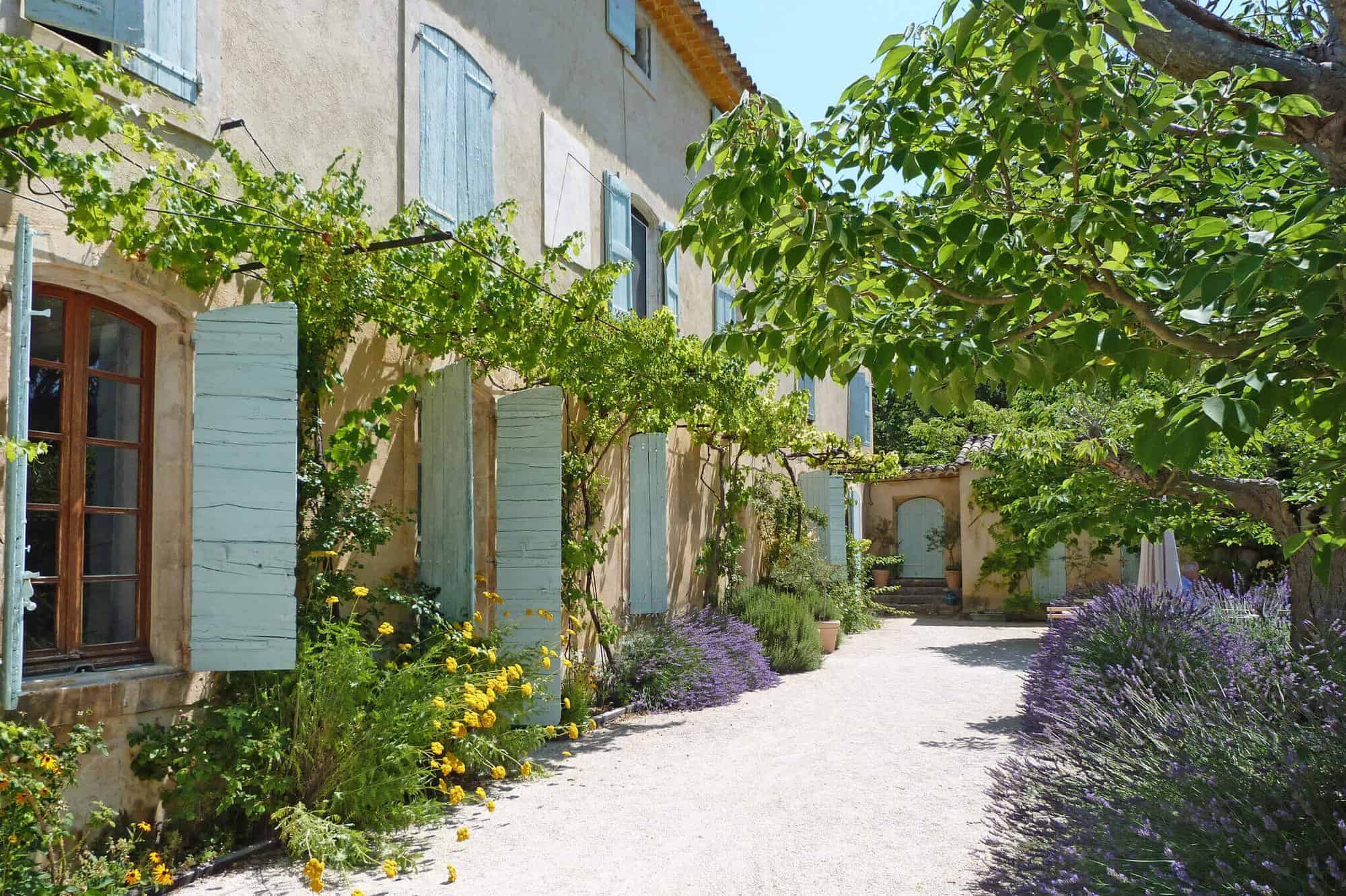 The sun-drenched exterior of the villa at St. Saturnin with blues shutters and plants growing up the walls.