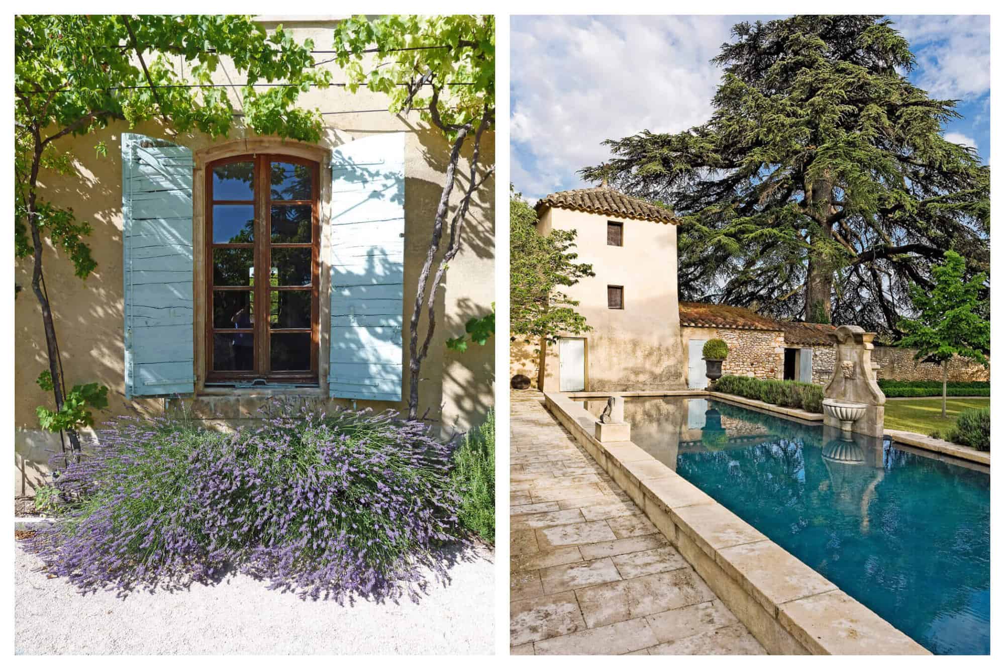 A blue shuttered window at St Saturnin with lavender growing underneath. The long blue pool with interesting stone features and a large tree in the background.